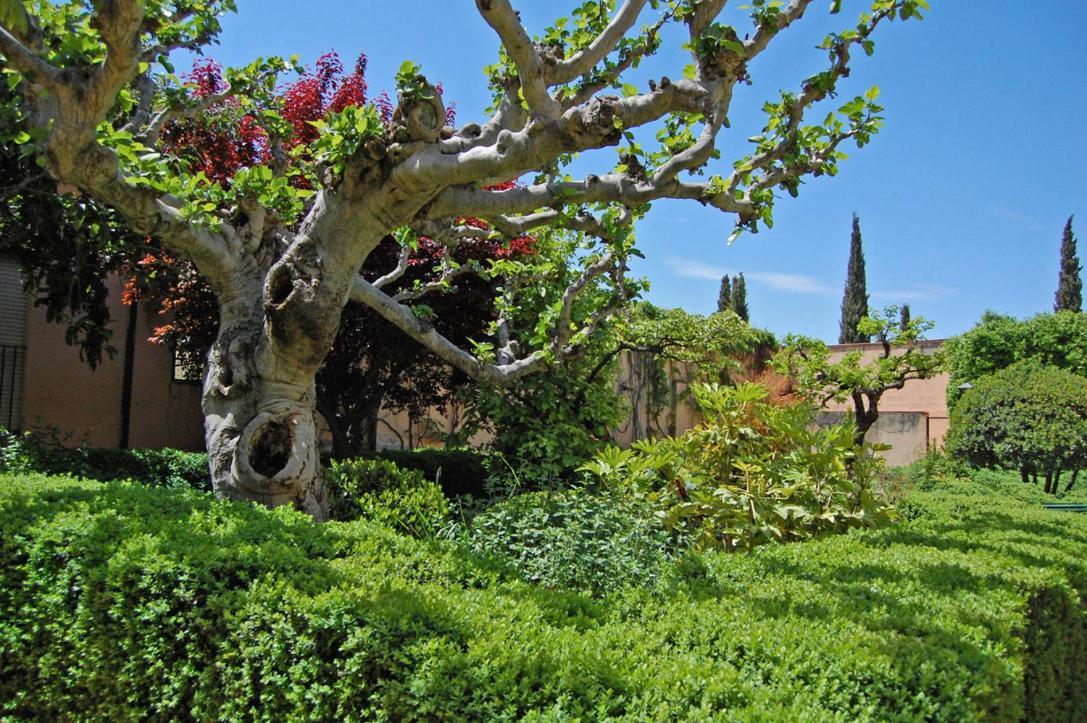 Un Vergel Al Pie De La Alhambra. Enjoy It Now!! 그라나다 외부 사진